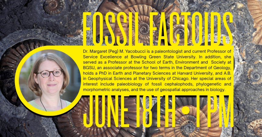 Fossil Factoids Dr. Margaret (Peg) M. Yacobucci is a paleontologist and current Professor of Service Excellence at Bowling Green State University. In addition, she served as a Professor at the School of Earth, Environment and  Society at BGSU, an associate professor for two terms in the Department of Geology, holds a PhD in Earth and Planetary Sciences at Harvard University, and A.B. in Geophysical Sciences at the University of Chicago. Her special areas of interest include paleobiology of fossil cephalopho