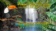 unhoneymooners slide